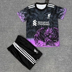 Liverpool Barn 2025/26 Lila Special