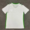 8e3825f641e0f47ba7343cbf47d45ef7.jpg Fotbollströja AS Saint-Étienne Borta 2024-2025
