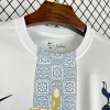 Fotbollströja Tottenham Concept 2025-26
