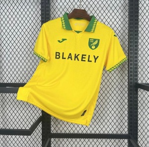 Norwich City Hemmatröja 2025/26