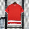 Fotbollströja FC Union Berlin Hemma 2025/26