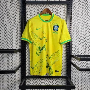 Fotbollströja Brasilien Special Edition Gul Fågel 2024/25