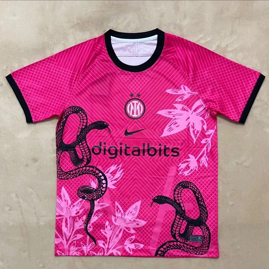 Fotbollströja Inter Milan 2024/25 Special Edition Rosa Orm