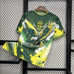 Fotbollströja Brasilien Concept Grön Gul Örn 2024-25