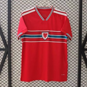 Fotbollströja Wales Hemma 2025/26