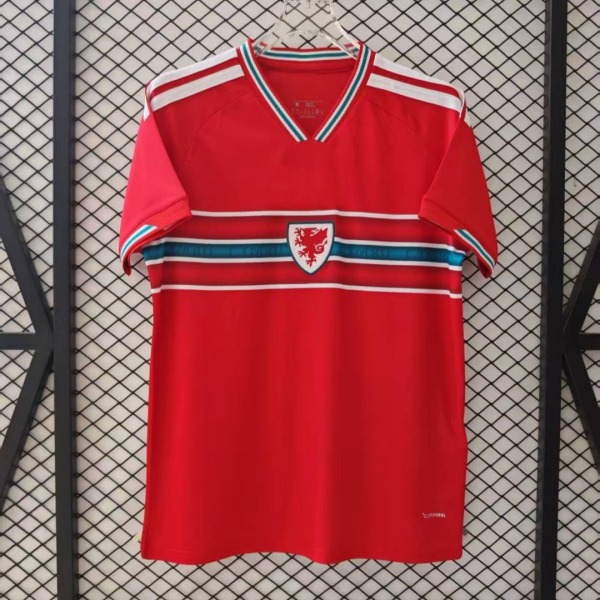 Fotbollströja Wales Hemma 2025/26