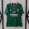 Fotbollströja Saint-Étienne 25/26 Special Edition