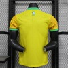 f6764800.jpg Maillot Brésil 2024 Authentique Football Premium