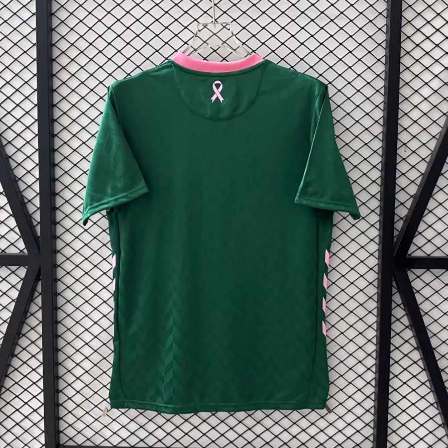 Fotbollströja Saint-Étienne 25/26 Special Edition