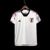 Fotbollströja Japan 2022/23 VM