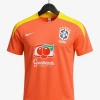 Maillot Brésil Training 2026 Adult