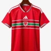 maillot-domicile-pays-de-galles-2026 studio v10 Fotbollströja Hemma Wales 2026