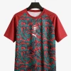 Fotbollströja Portugal 2026/27 Special Red