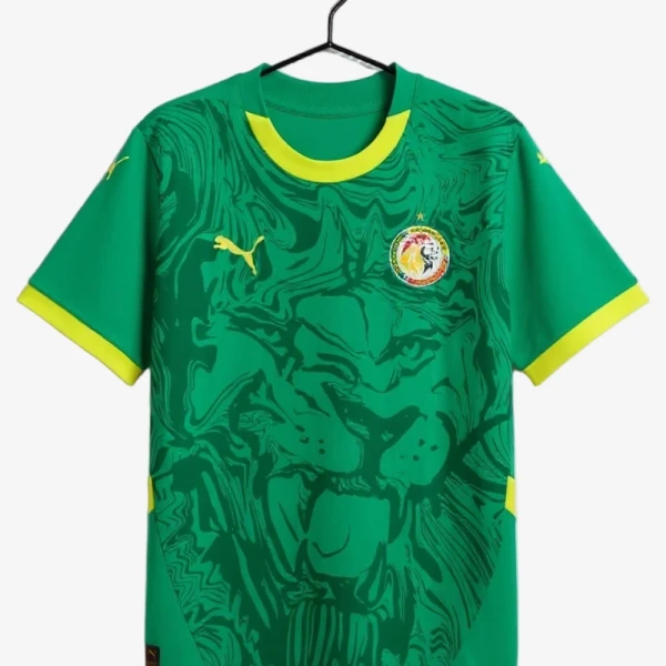 Fotbollströja Senegal Borta 2024-2025